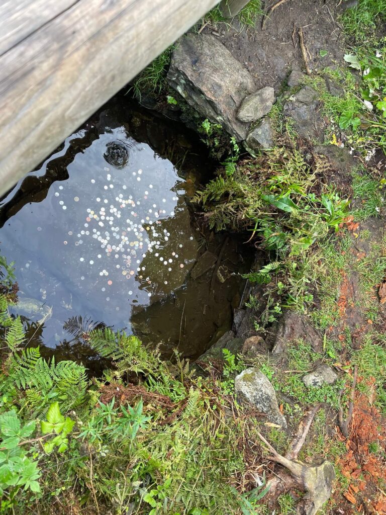 Studánka