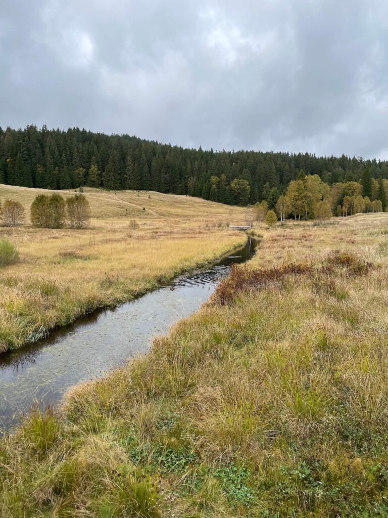 Šumava