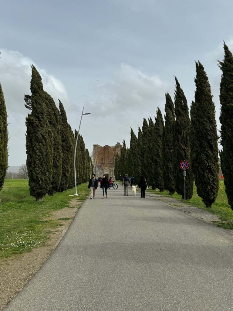 San Galgano alej