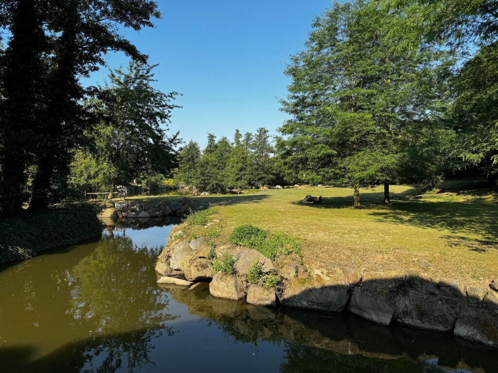 Zoo Plzeň