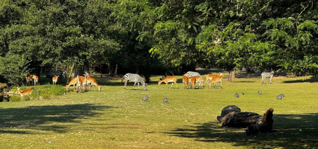 Zoologická a botanická zahrada města Plzně