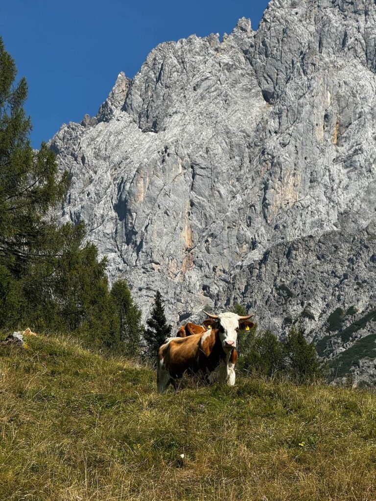 Pohoří Dachstein